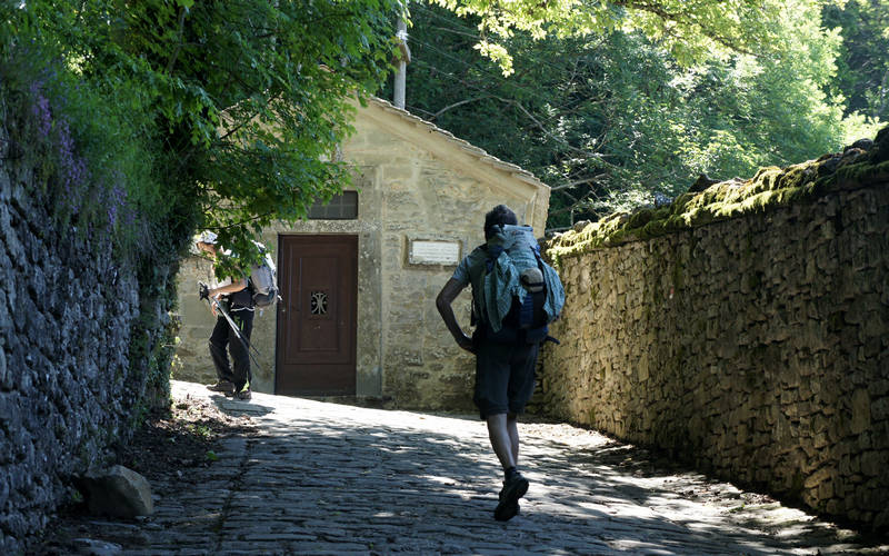 Cammino di Assisi, La Verna, Foreste Casentinesi