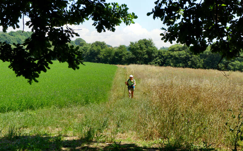 Via Amerina, Penna in Teverina