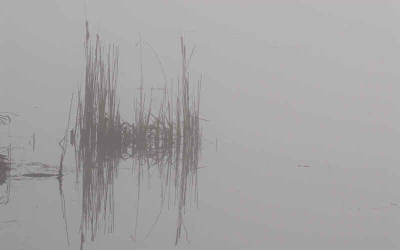 Lago di Fimon / superfici, acqua, nebbia - surface, water, fog