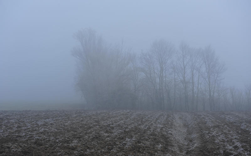 nebbia lungo gli argini del fiume Tergola a Peraga di Vigonza