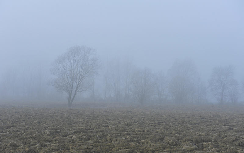 nebbia lungo gli argini del fiume Tergola a Peraga di Vigonza