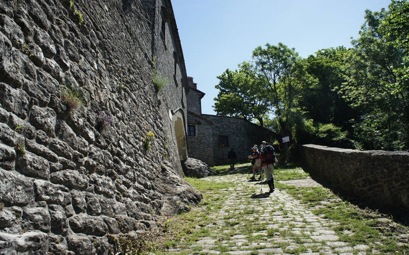 Cammino di Assisi, La Verna, Foreste Casentinesi