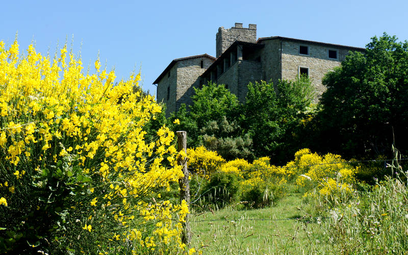 Castello della Biscina