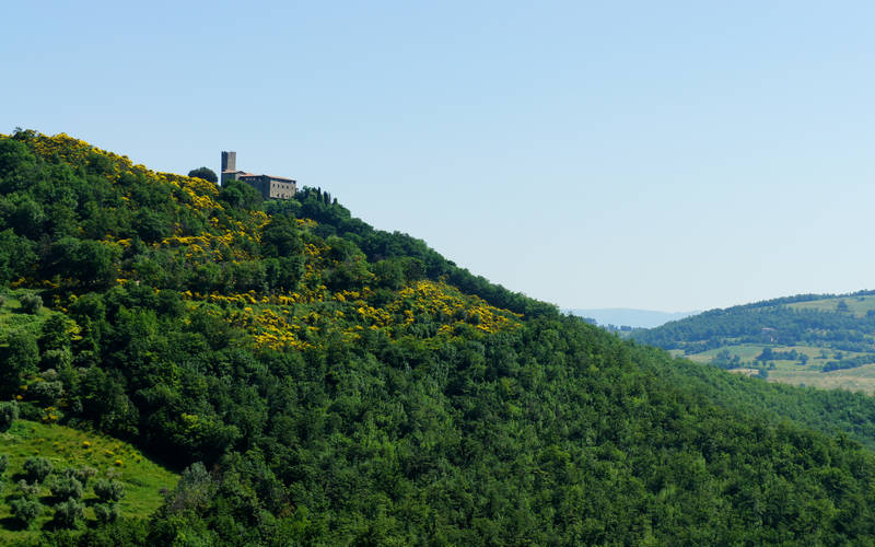 Castello della Biscina