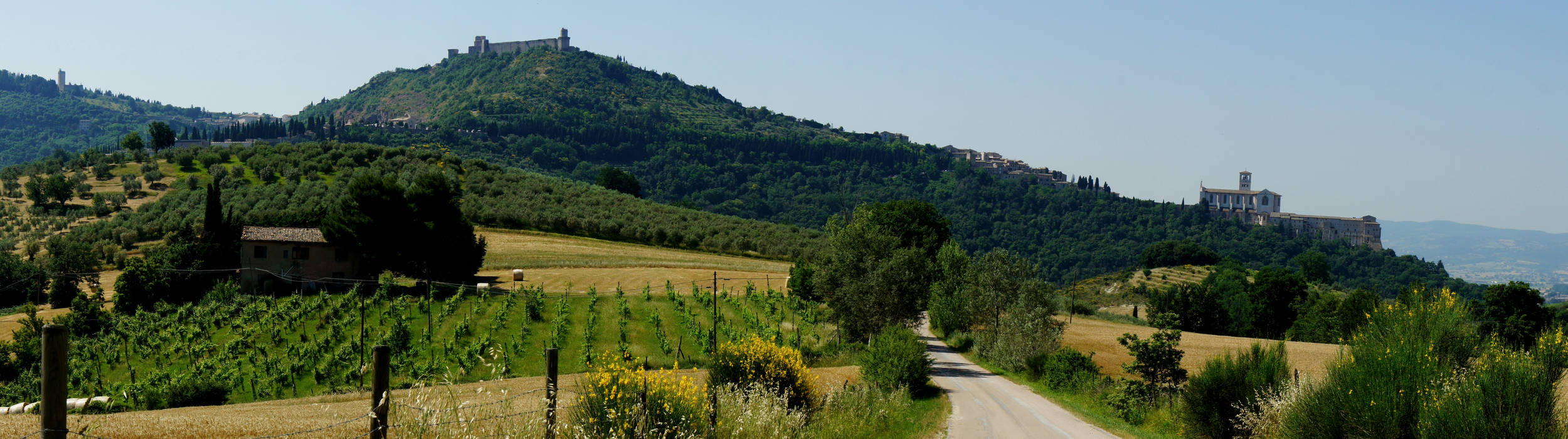 Cammino di Assisi