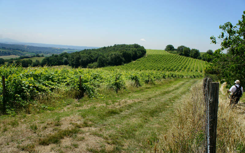 Via Amerina, Penna in Teverina