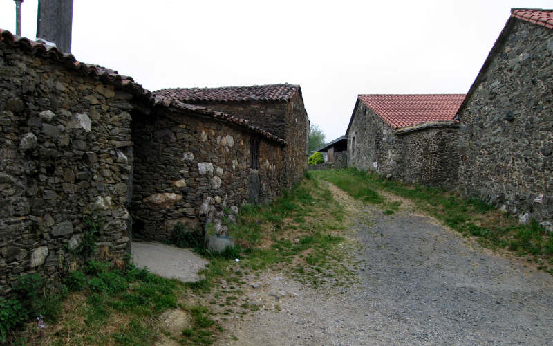 Galizia