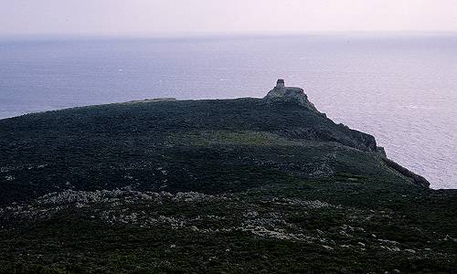 Isola di Capraia