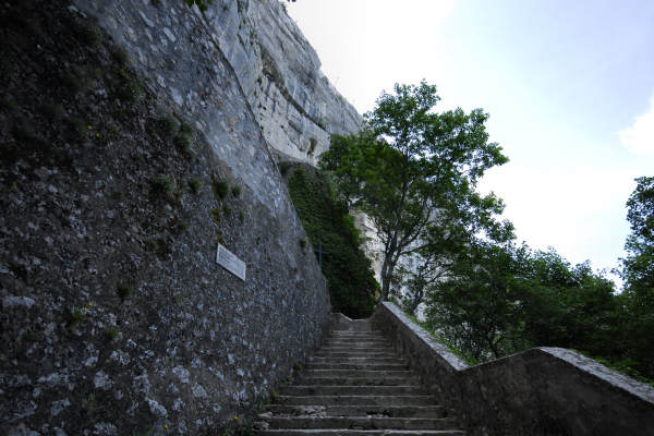 Sainte Baume, Provence